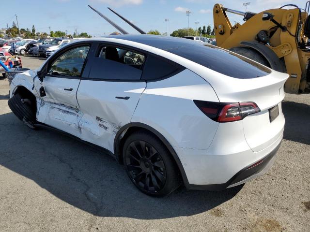 5YJYGDEE3MF217494 Tesla Model Y
