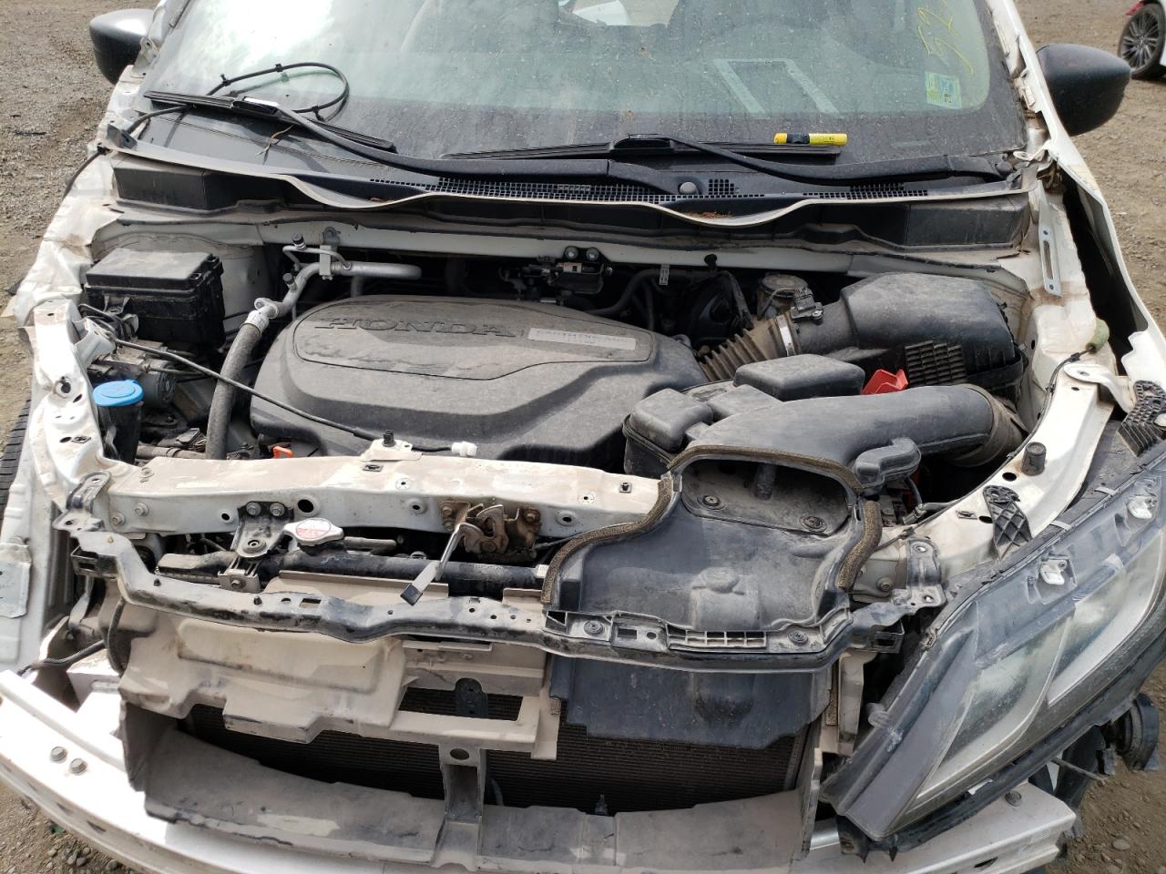 VIN: 5FNRL6H21KB115413 2019 HONDA All Models