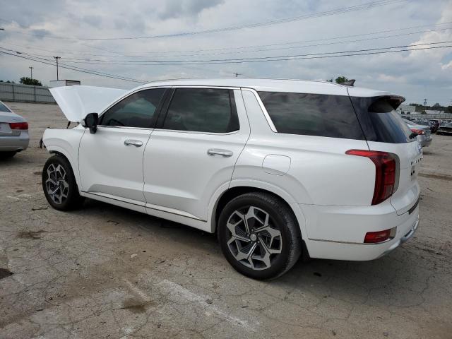 KM8R7DHE9MU328828 Hyundai Palisade C 2