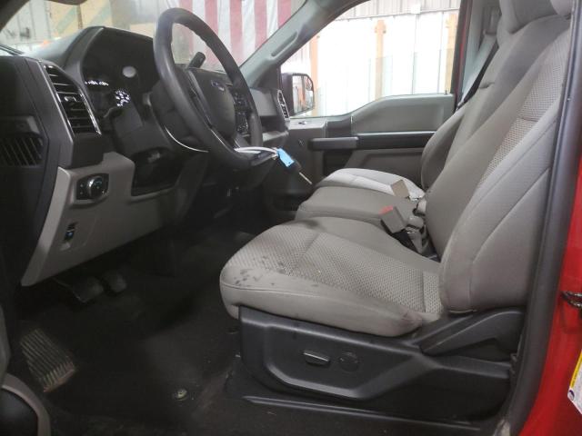 2020 FORD F150 - 1FTMF1EP1LKE23559