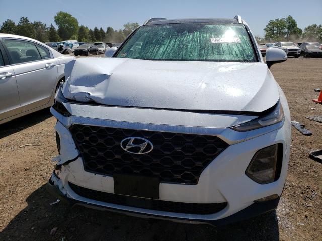 2019 HYUNDAI SANTA FE L - 5NMS5CAA9KH019281