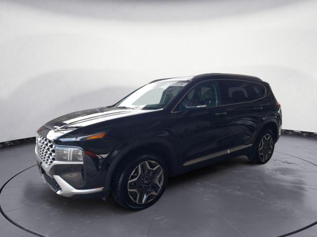 2023 HYUNDAI SANTA FE L - 5NMS4DAL1PH531294