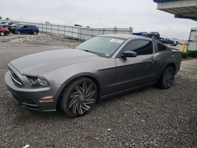 2013 Ford Mustang 