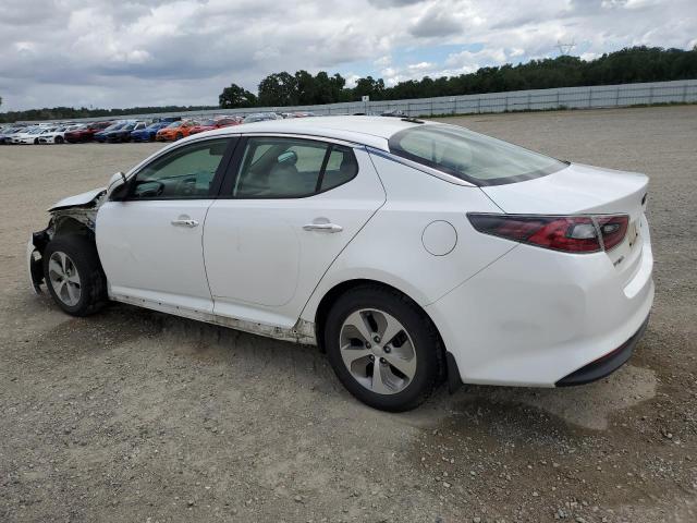 KNAGM4AD8E5064807 KIA OPTIMA HYBRID