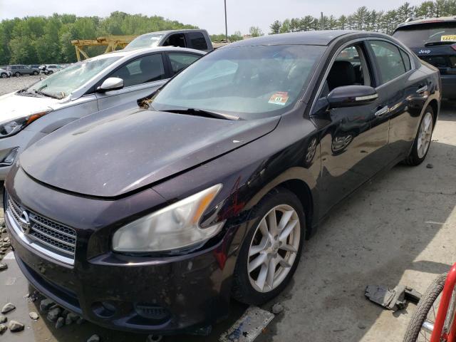 2010 Nissan Maxima S 3.5L for Sale in Windsor, NJ - Normal Wear