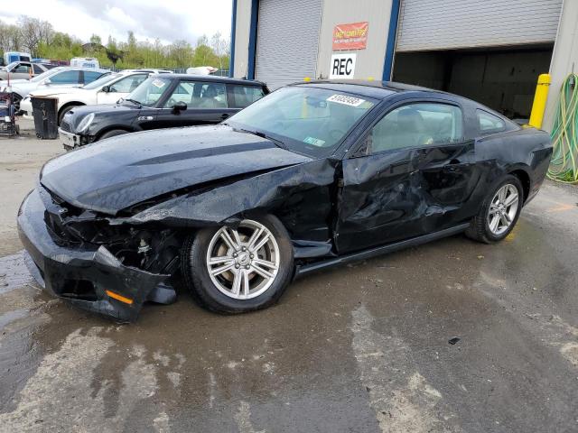 2010 Ford Mustang 