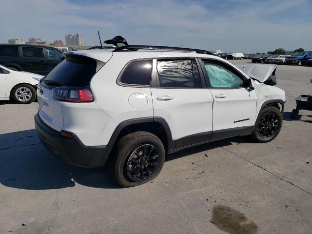 2023 JEEP CHEROKEE A 1C4PJMMB7PD110075