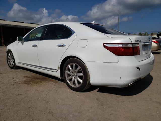 2008 Lexus Ls 460 VIN: JTHBL46F085059078 Lot: 53382013