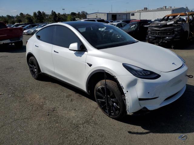5YJYGDEE3MF217494 Tesla Model Y