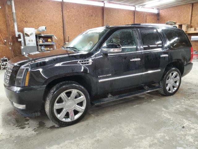 2010 Cadillac Escalade Premium