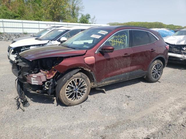 Salvage cars for sale from Copart Assonet, MA: 2021 Ford Escape SEL