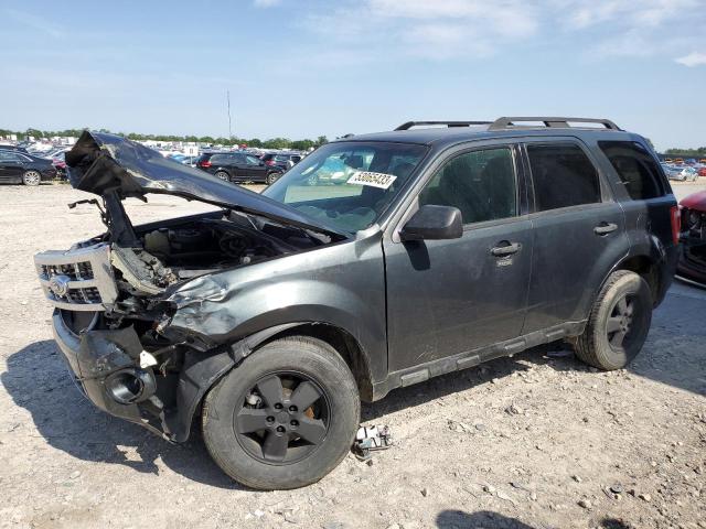 2009 Ford Escape XLT