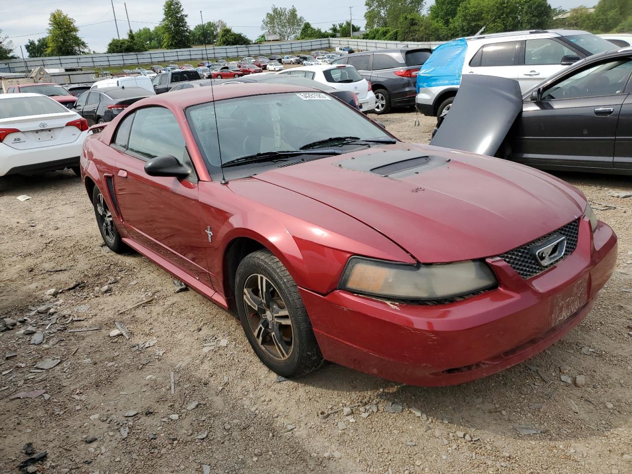 Lot #2093648023 2003 FORD MUSTANG