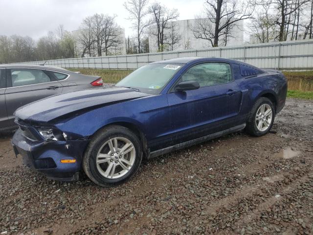 2010 Ford Mustang 