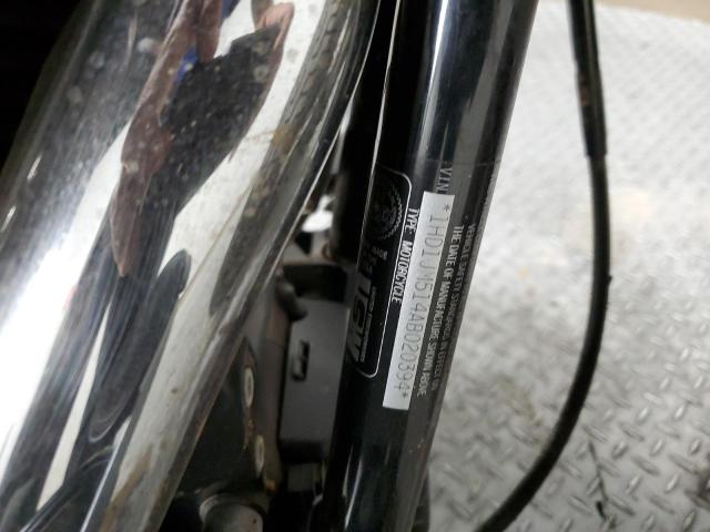 2010 HARLEY-DAVIDSON FLSTSB - 1HD1JM514AB020394