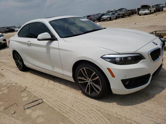 2019 BMW 230I - WBA2J1C53KVD09955