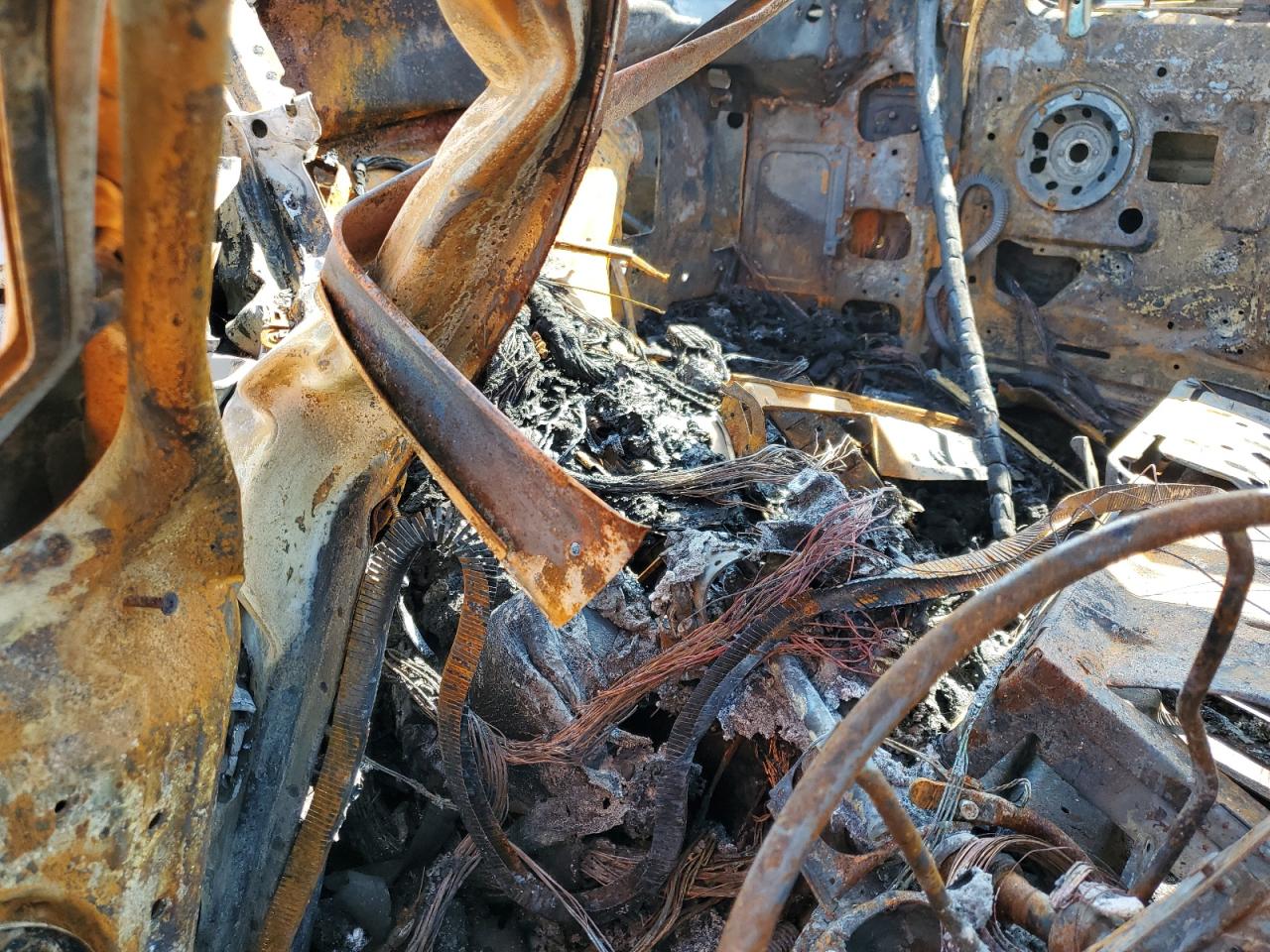 1FTEF15H4SNB12489 1995 Ford F150