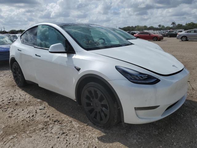 5YJYGAEE9MF259411 Tesla Model Y  4