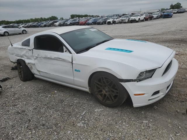 1ZVBP8CF1E5301807 | 2014 FORD MUSTANG GT