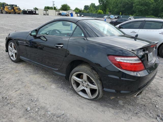 VIN WDDPK4HA6EF088253 2014 MERCEDES-BENZ SLK-CLASS no.2