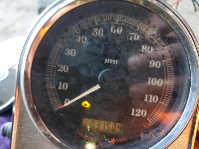 2009 HARLEY-DAVIDSON FXSTC 1HD1JL5189Y034303