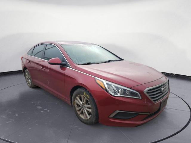 Vin: 5npe24af0gh302489, lot: 51613763, hyundai sonata se 20164