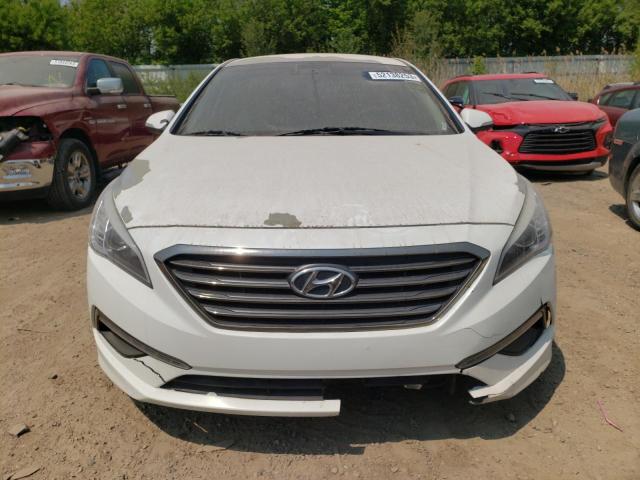 2016 HYUNDAI SONATA ECO - 5NPE24AA2GH434691