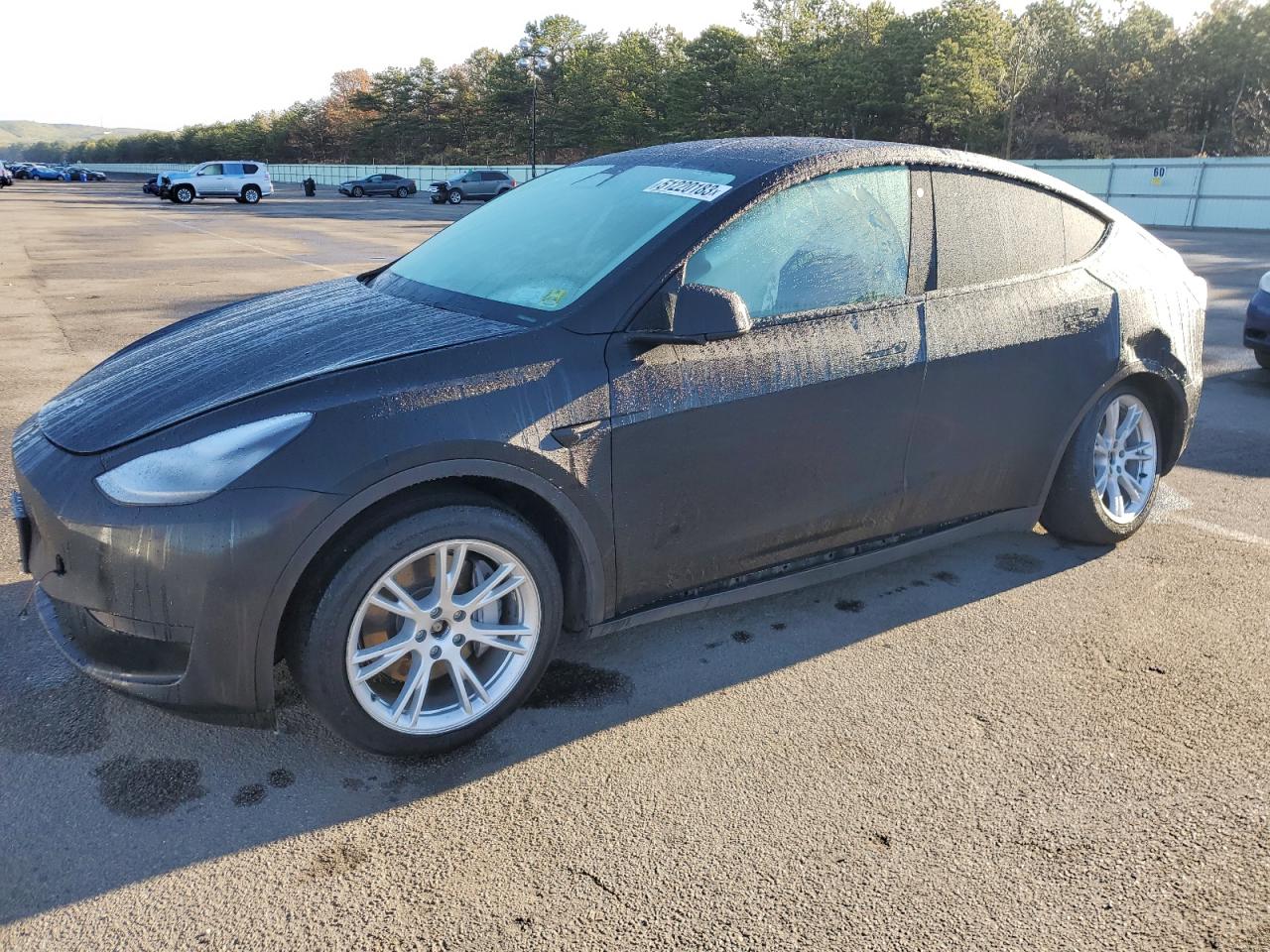 5YJYGDEE9MF099449 Tesla Model Y 