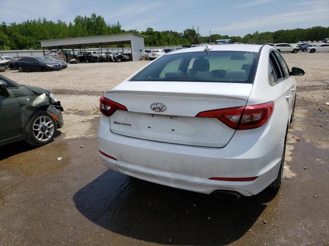 5NPE24AF8HH511030 | 2017 HYUNDAI SONATA SE