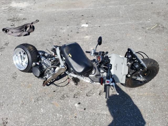 2023 HONDA NPS50 JH2AF5812PK101236