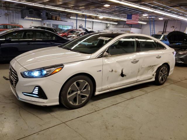 2019 Hyundai Sonata Hybrid VIN: KMHE34L36KA087809 Lot: 55307554