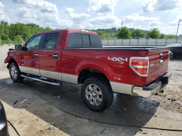 2013 Ford F150 Supercrew VIN: 1FTFW1ET4DKE21411 Lot: 55513524