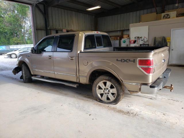 2013 Ford F150 Supercrew VIN: 1FTFW1ET5DKD03397 Lot: 55859264