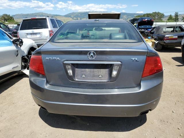 2006 Acura 3.2Tl VIN: 19UUA66246A070406 Lot: 54467034