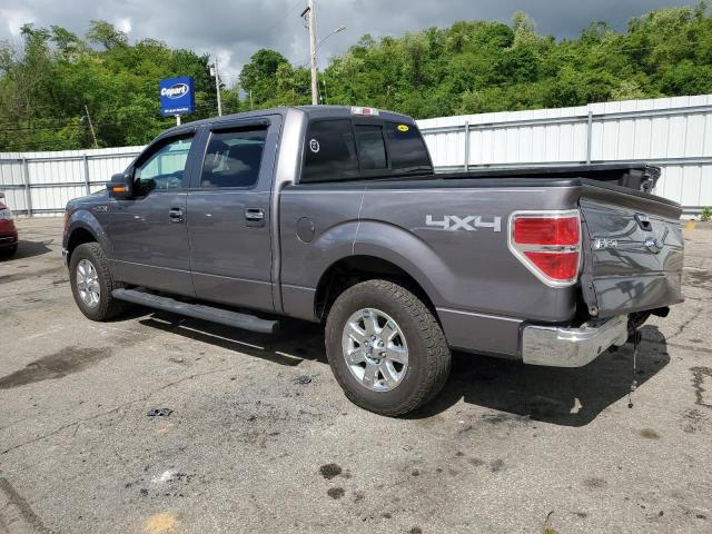 2014 Ford F150 Supercrew VIN: 1FTFW1EF5EKG18938 Lot: 55185164