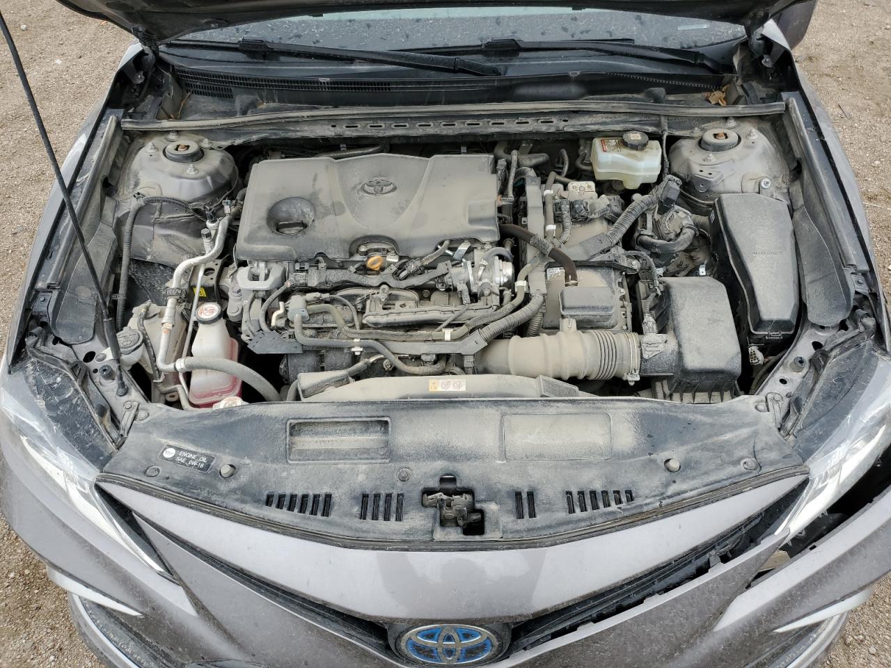 4T1C31AK7MU551093 2021 Toyota Camry Le