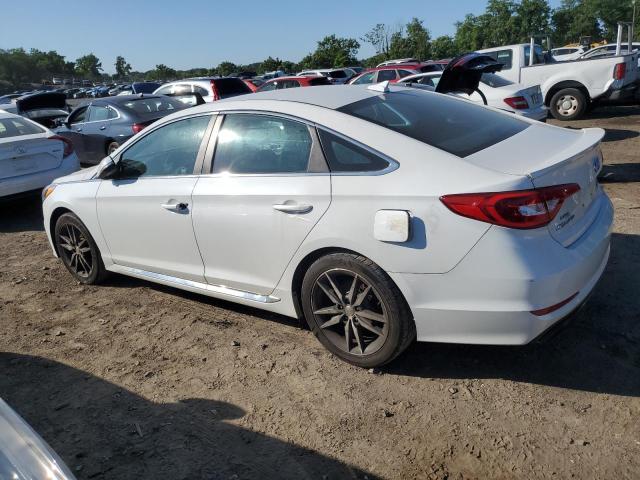 VIN 5NPE34AB5HH497713 2017 Hyundai Sonata, Sport no.2