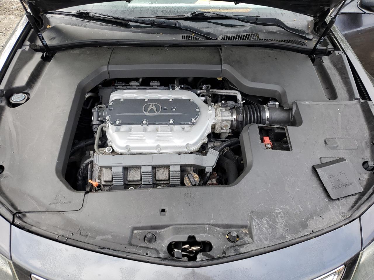 19UUA8F23DA013655 2013 Acura Tl