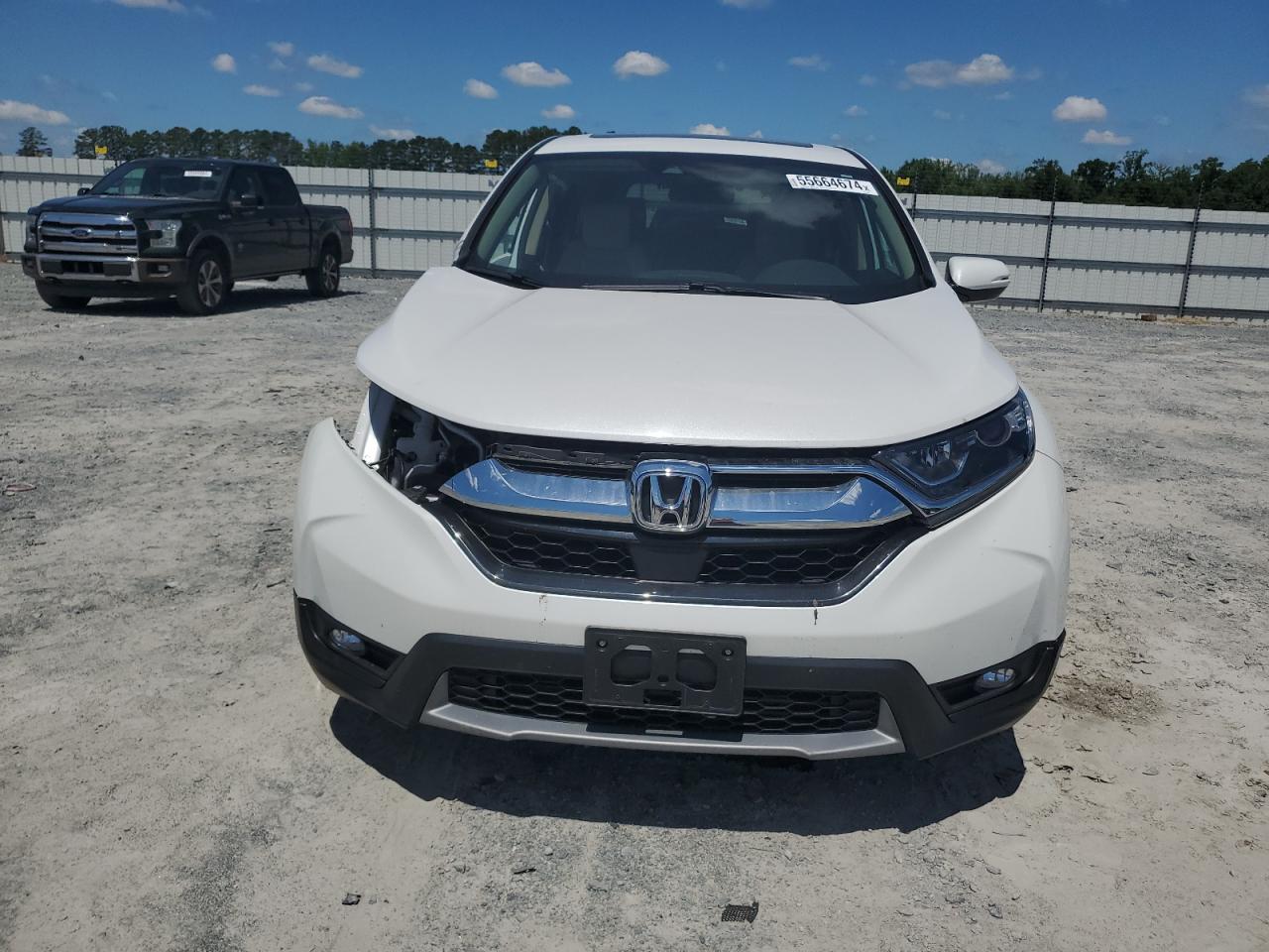 Lot #2853186150 2019 HONDA CR-V EX