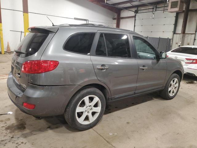 2009 Hyundai Santa Fe Se VIN: 5NMSH13E39H288334 Lot: 53813724