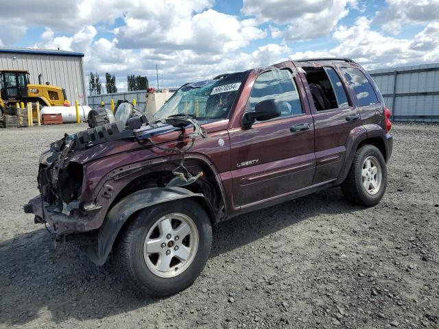 2004 Jeep Liberty Limited VIN: 1J4GL58K04W181218 Lot: 56678554