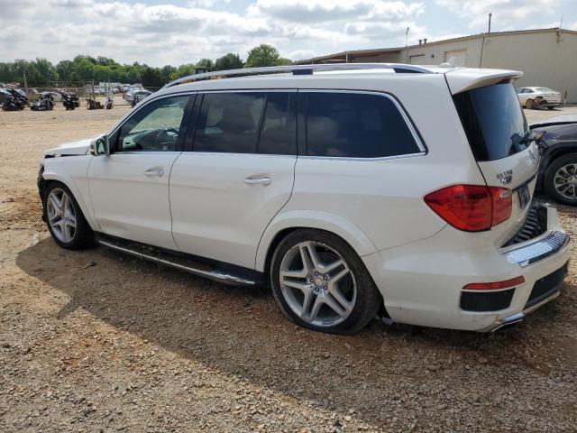 2015 Mercedes-Benz Gl 550 4Matic VIN: 4JGDF7DE5FA489833 Lot: 55157834