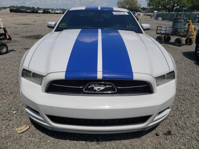 2014 Ford Mustang VIN: 1ZVBP8AM4E5269517 Lot: 53404724