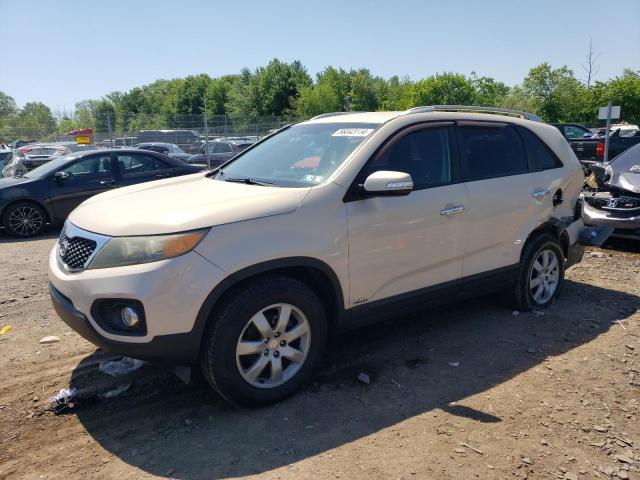 2011 Kia Sorento Base VIN: 5XYKTDA14BG129760 Lot: 56043114