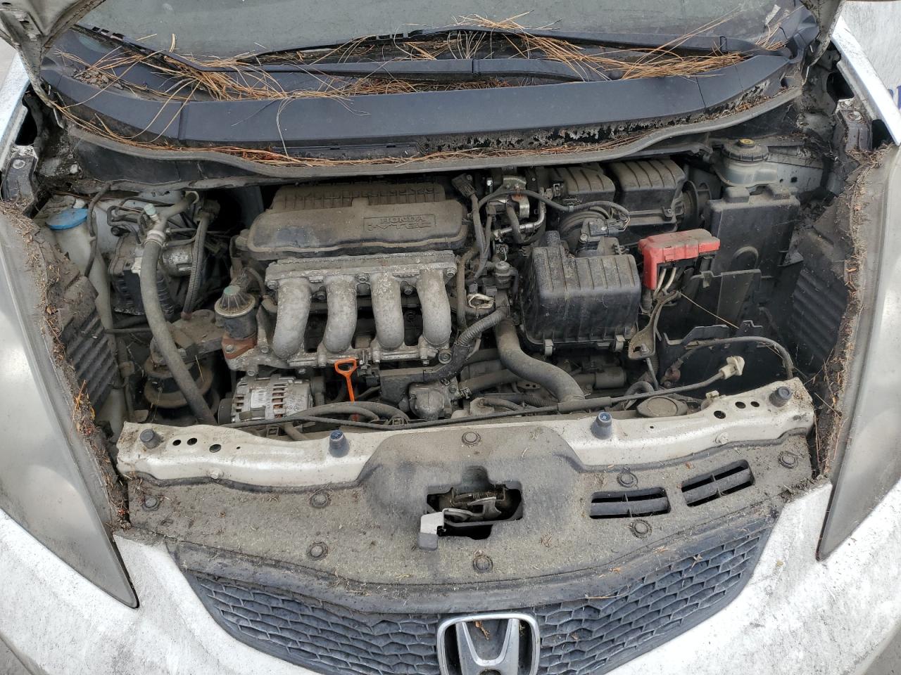 JHMGE8H31DC042306 2013 Honda Fit