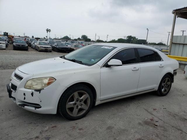 Lot #2533794221 2010 CHEVROLET MALIBU 1LT salvage car