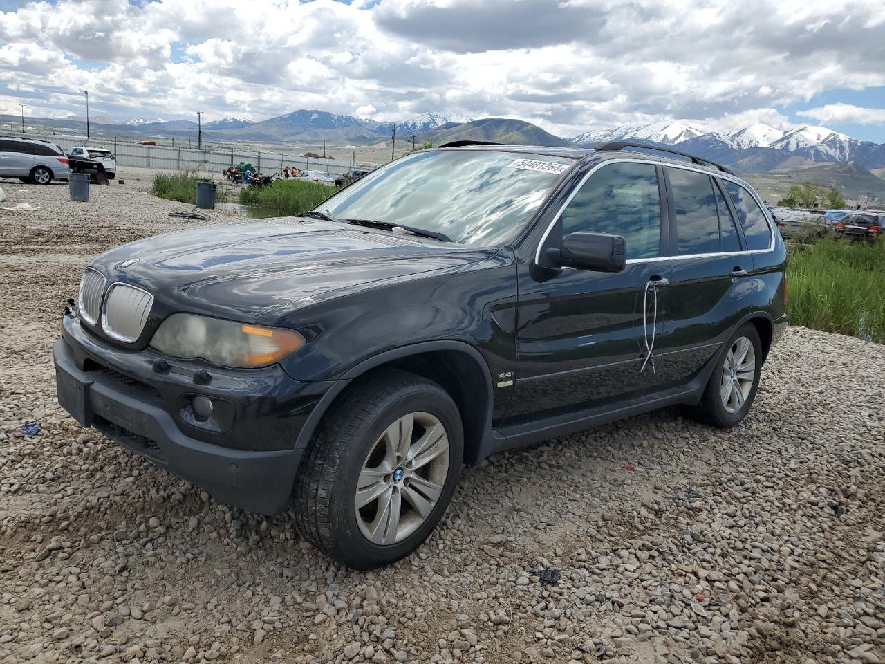 5UXFB53595LV13874 2005 BMW X5 4.4I