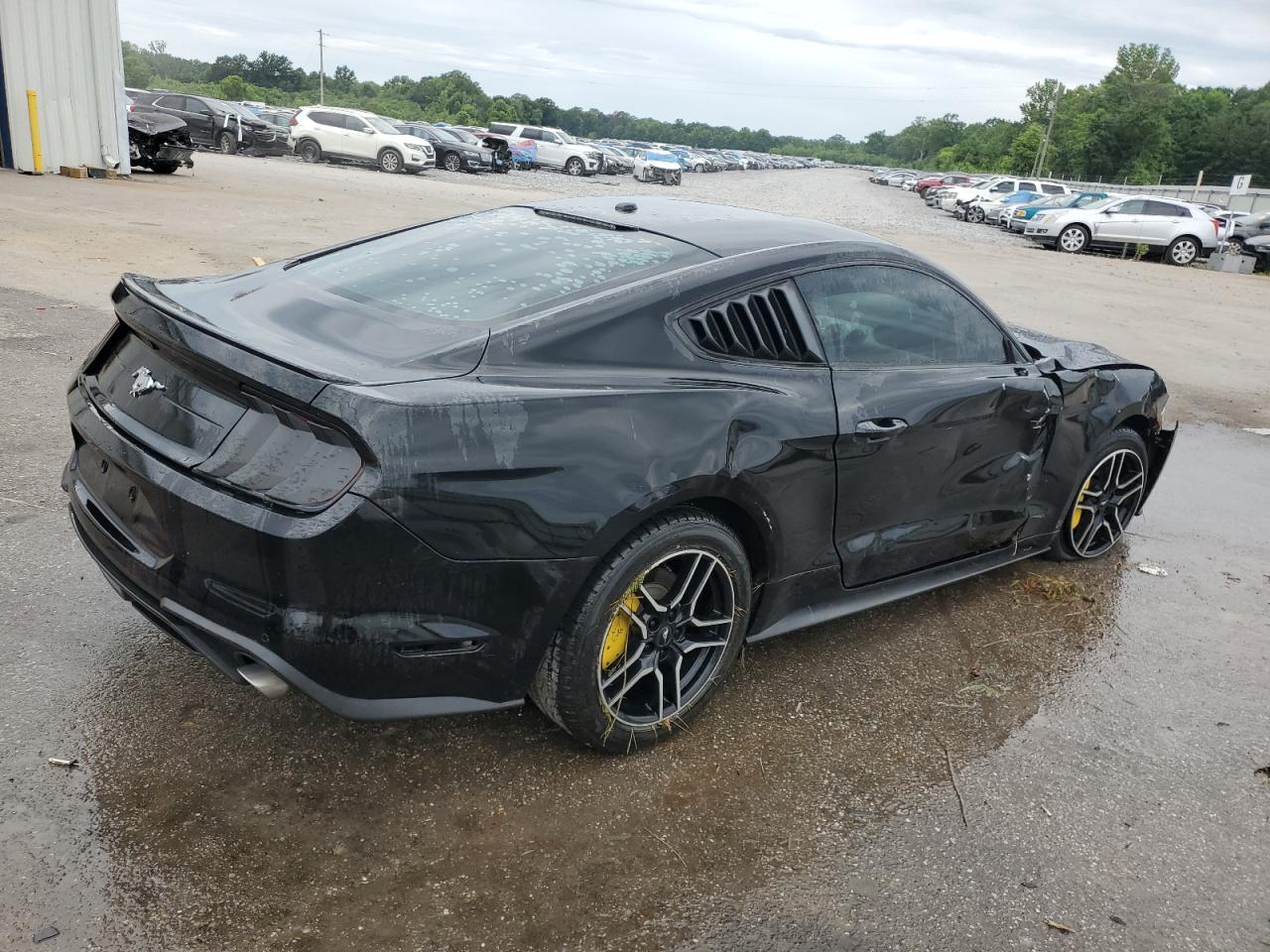 2019 Ford Mustang vin: 1FA6P8TH4K5203801