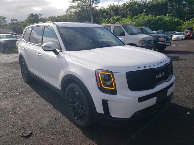 2022 Kia Telluride Sx VIN: 5XYP5DHC6NG225451 Lot: 54617934