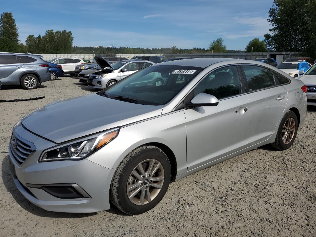 5NPE24AF0GH321642 2016 Hyundai Sonata Se